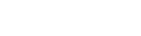 Burt Foundation